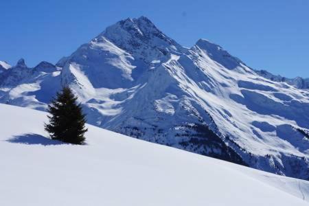 Le Studio D'Emma Apartman La Plagne Kültér fotó